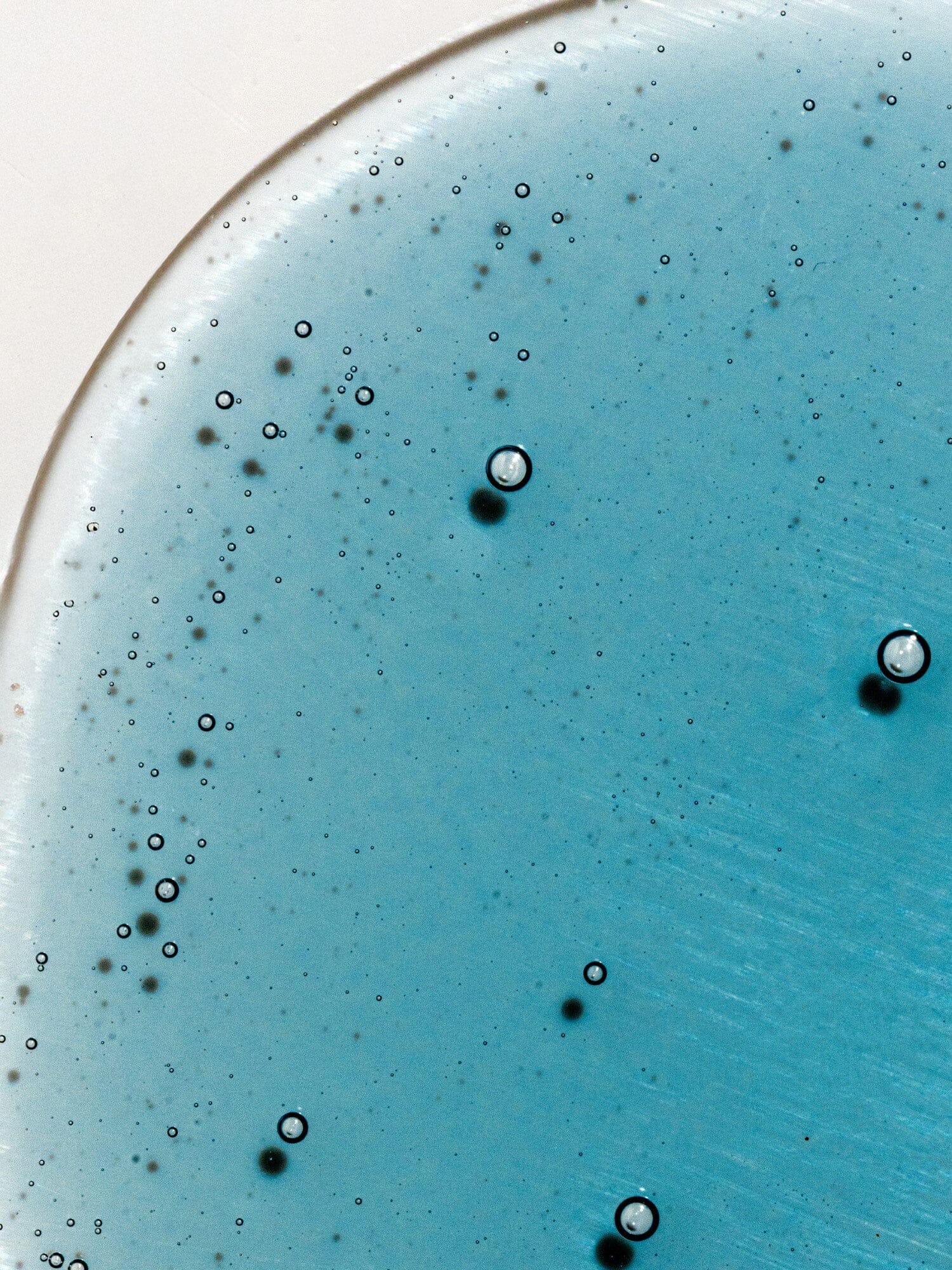 Blue Tansy Body Oil - Image 4