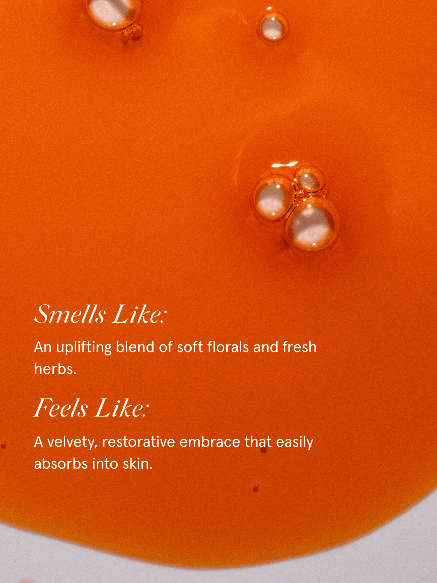 Plumping Serum - Image 4